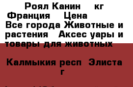  Роял Канин 20 кг Франция! › Цена ­ 3 520 - Все города Животные и растения » Аксесcуары и товары для животных   . Калмыкия респ.,Элиста г.